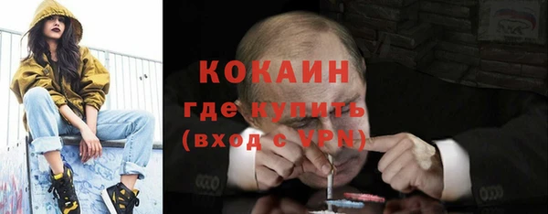 сатива Мегион