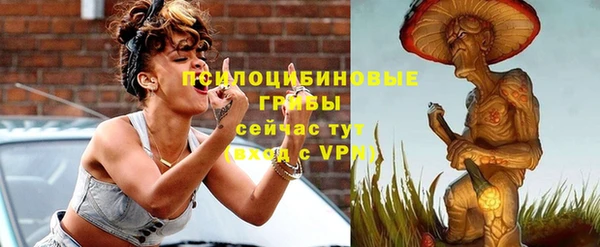 стаф Медвежьегорск