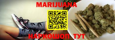 стаф Будённовск