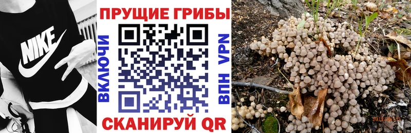 Галлюциногенные грибы мицелий  МЕГА вход  Лангепас 