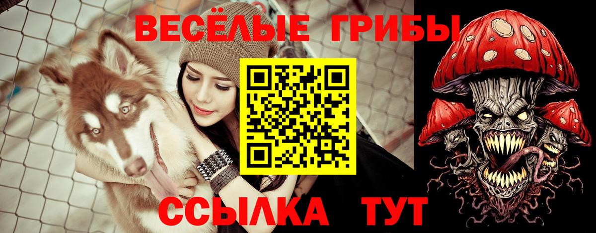 Псилоцибиновые грибы мухоморы  хочу наркоту  Лангепас  Вход с VPN 